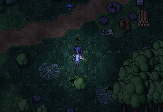 Độc Chu webs in the night forest